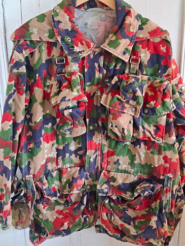 Swiss army m70 camouflage - army,